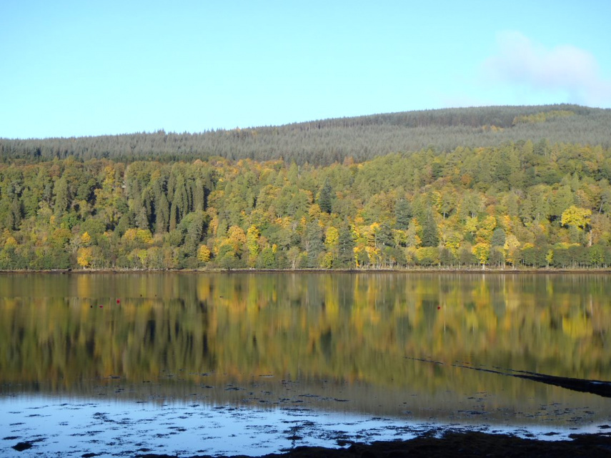 Ardtornish – Land Management Planning