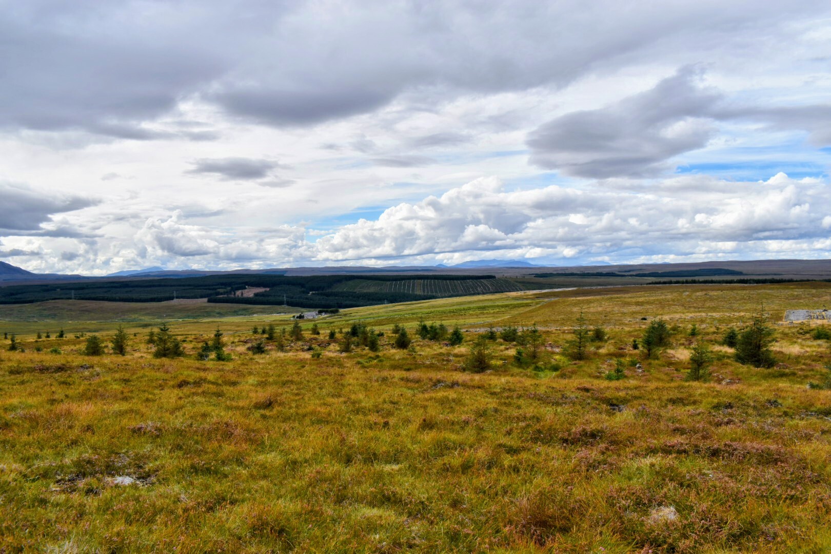 Land and the environment