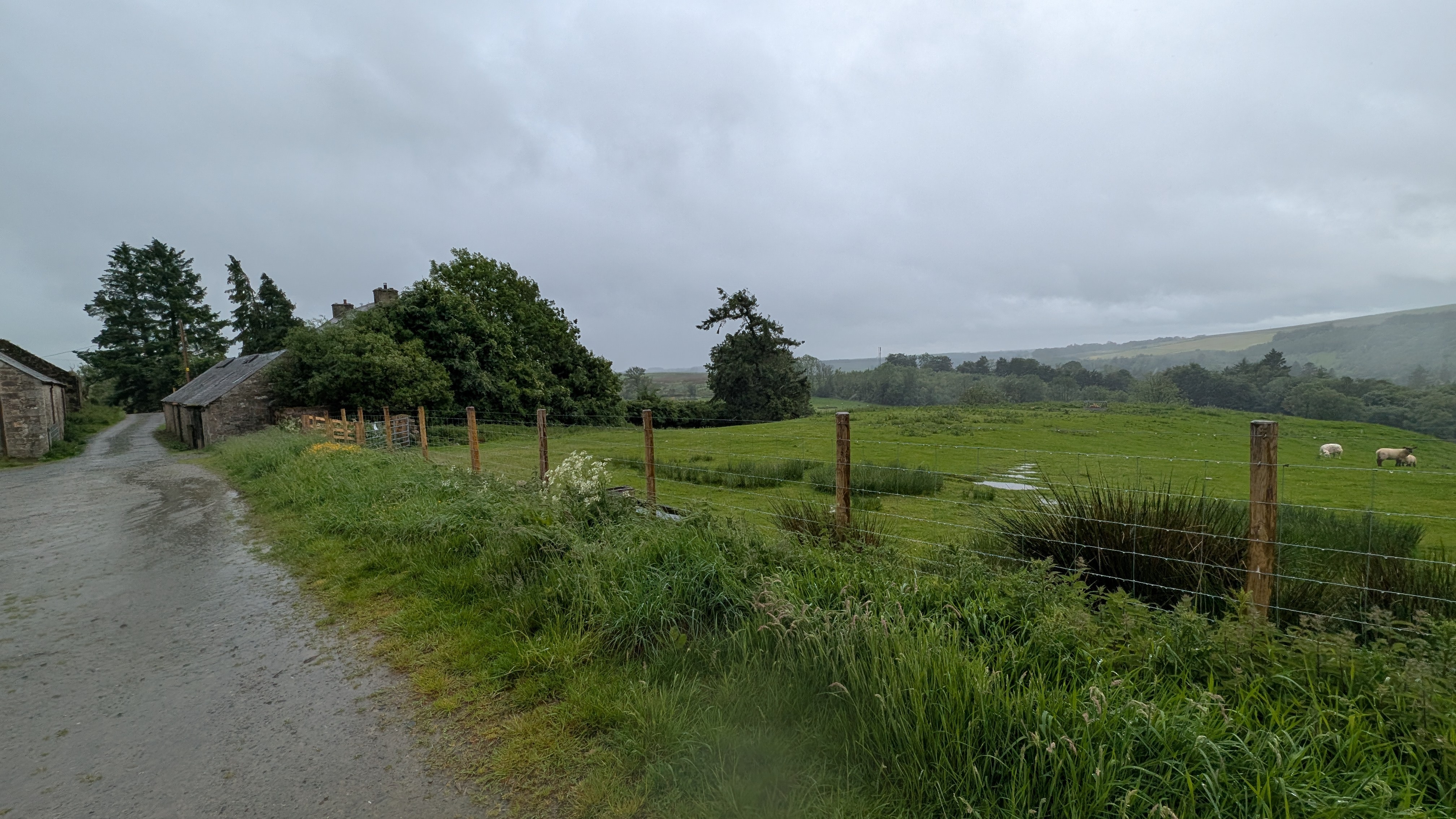 New advice sets out how Scotland can unlock the full potential of community ownership
