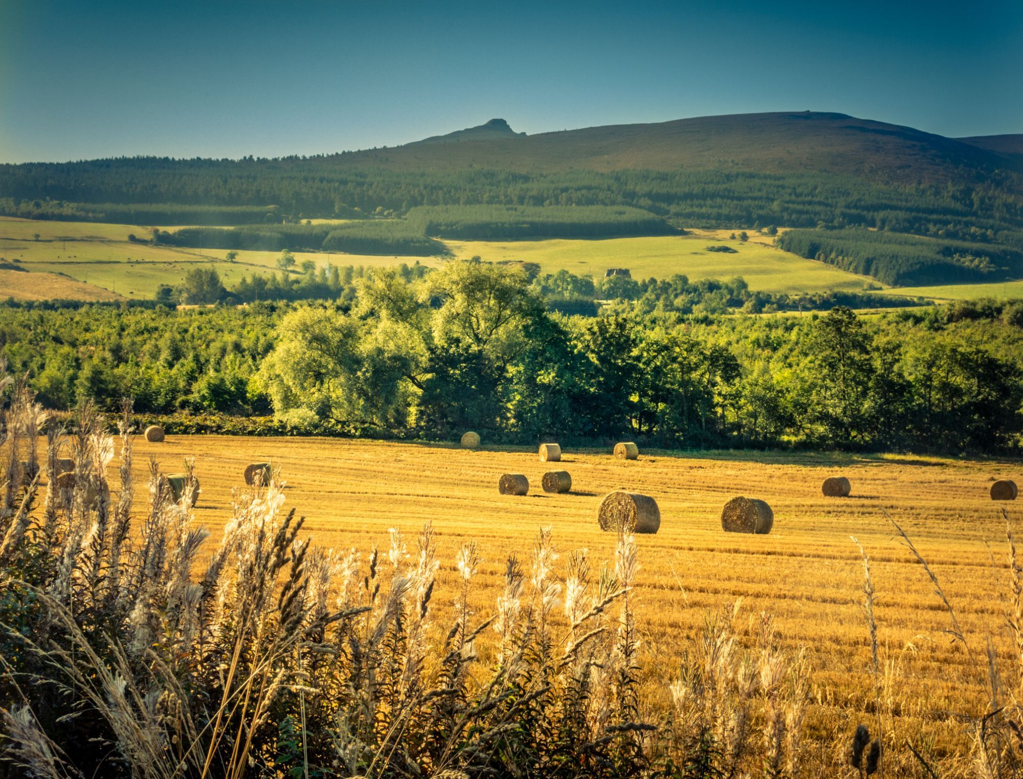 Supporting tenant farming