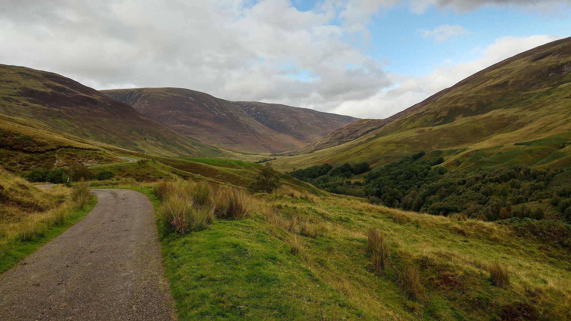 Affric Highlands Trees for Life
