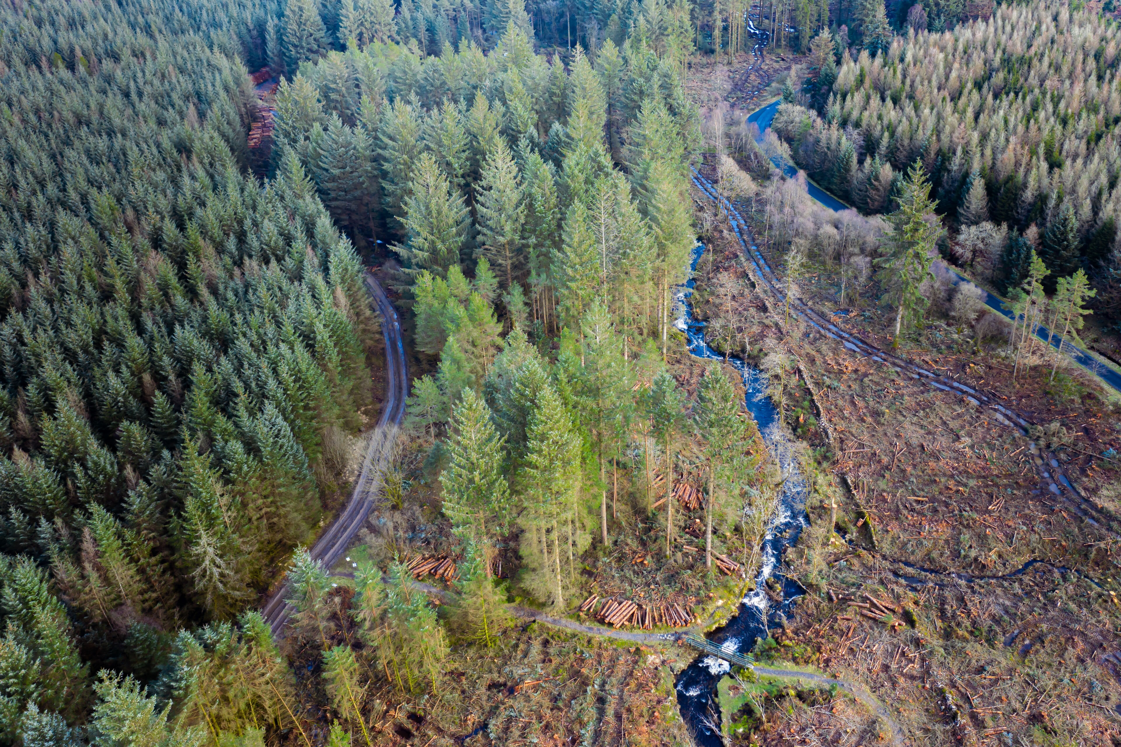 Rural land market reporting